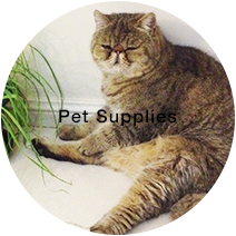 Pet Supplies